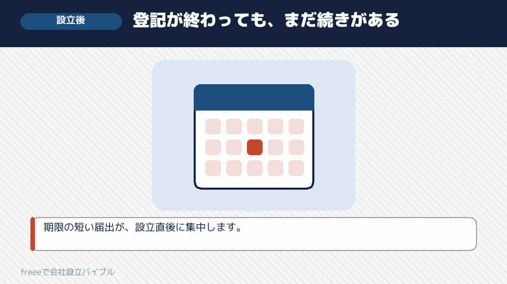 確認6：設立後の手続きまで見えているか